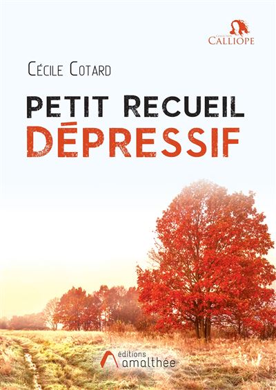 Petit recueil dépressif