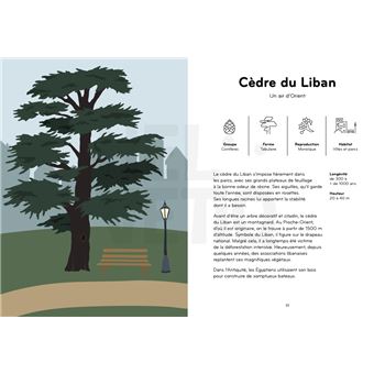 Arborama