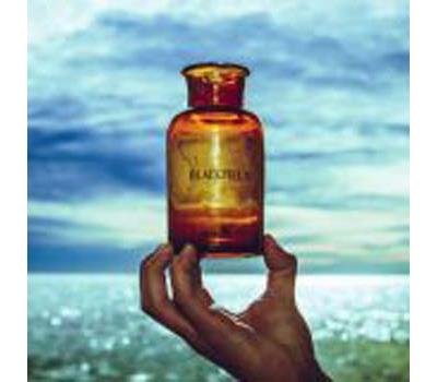 Blackfield V Inclus DVD bonus