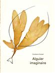 Alguier imaginaire