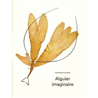 Alguier imaginaire