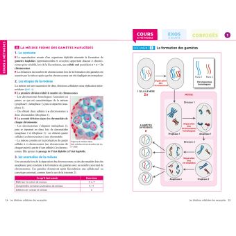 SVT 1re générale (spécialité)