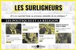 Les surligneurs