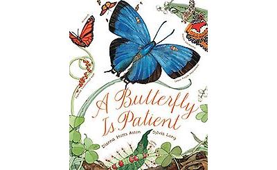 A Butterfly Is Patient