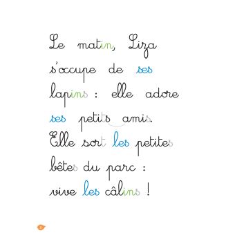 Lapin malin, niveau 2 - J'apprends à lire Montessori