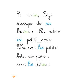 Lapin malin, niveau 2 - J'apprends à lire Montessori