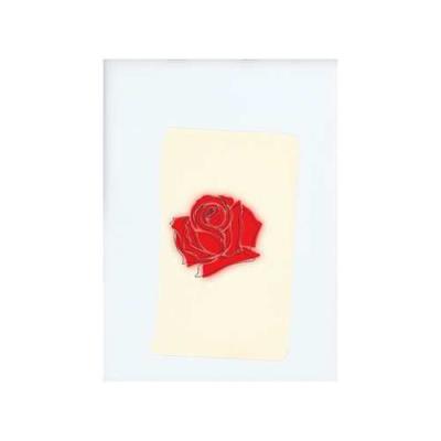 Lany