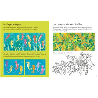 Sous la mer - Activités pour les petits