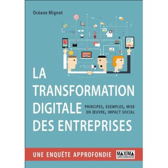 La Transformation Digitale Principes, Méthodes Et Mise En œuvre ...