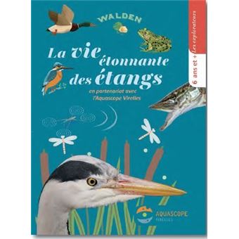 La vie étonnante des étangs
