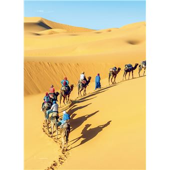 Tintin - C'est l'aventure 1