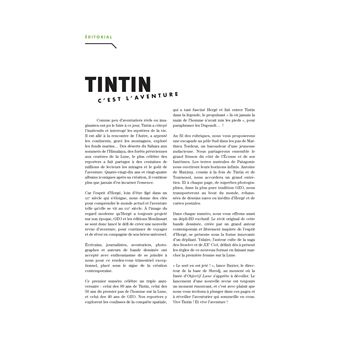 Tintin - C'est l'aventure 1