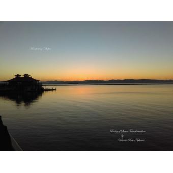 Manifesting Utopia - 1