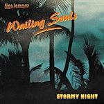 Stormy Night - Vinilo