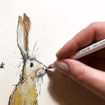 Le sourire d'Auguste