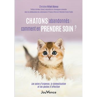Chatons abandonnés : comment en prendre soin ?