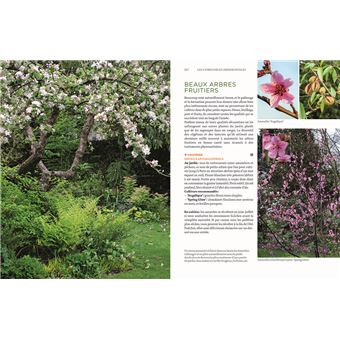 Toutes les plantes belles et comestibles