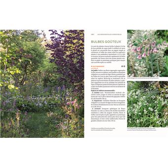 Toutes les plantes belles et comestibles