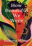 How Beautiful We Were