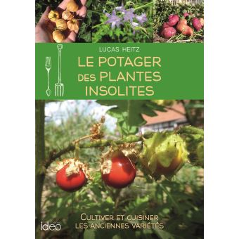 Le potager des plantes insolites