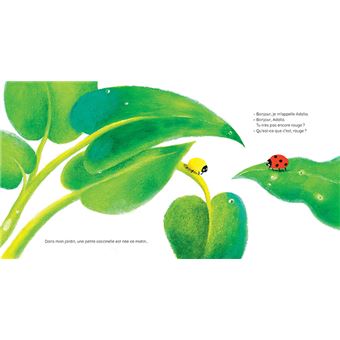 Adalia, la petite coccinelle