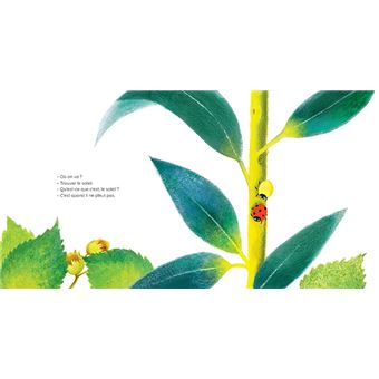 Adalia, la petite coccinelle