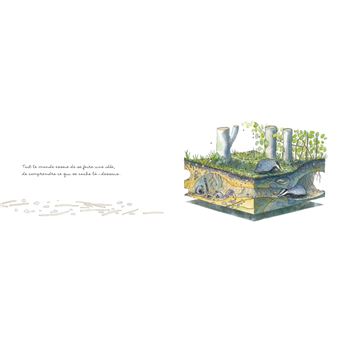 L'oreille de la forêt