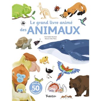 Mon Grand livre d'autocollants - Les animaux, les objets, la nature
