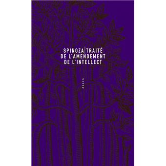 Traité de l'amendement de l'intellect