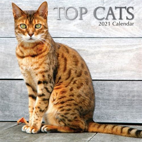 KALENDER 21 TOP CATS GTD