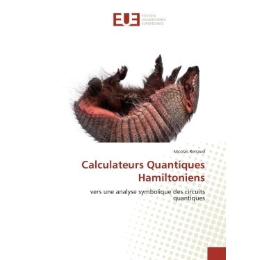 Calculateurs quantiques hamiltoniens