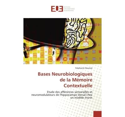 Bases neurobiologiques de la mémoire contextuelle