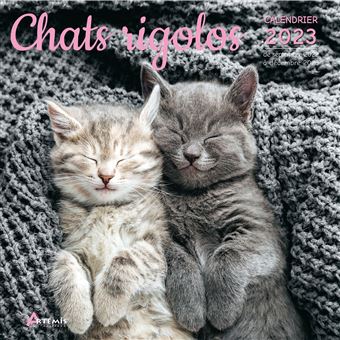Calendrier Chats 2023 Calendrier Chats Rigolos 2023 - Dernier Livre De Collectif - Précommande &  Date De Sortie | Fnac