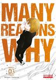 Many Reasons Why - tome 3 (VF)