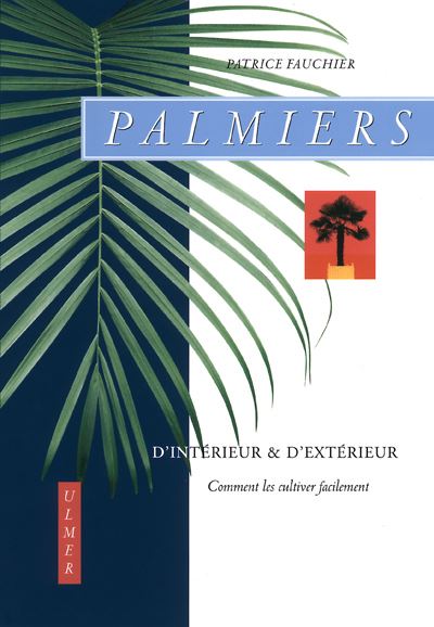 Palmiers comment les cultiver facilement en interieur et au