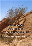 Occupation des failles et du presque rien