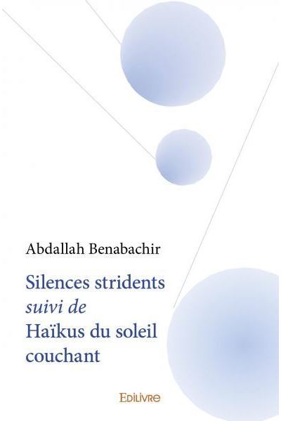 Silences stridents suivi de Haïkus du soleil couchant