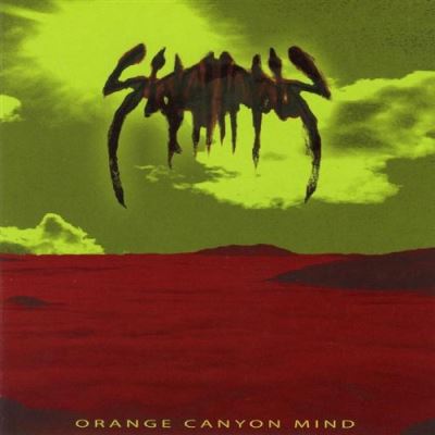Orange canyon mind