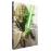 Star WarsStar Wars La Prélogie DVD_1