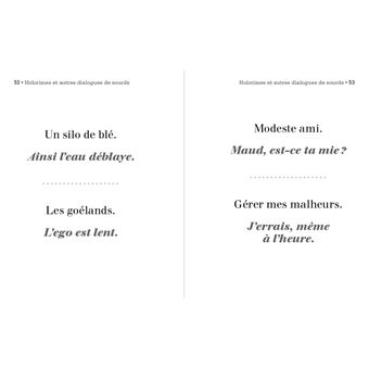 Petit Livre des holorimes et autres dialogues de sourds