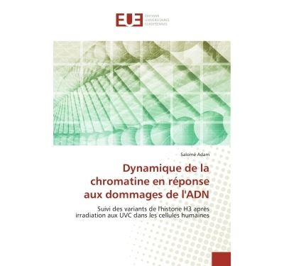 Dynamique de la chromatine en réponse aux dommages de l'ADN