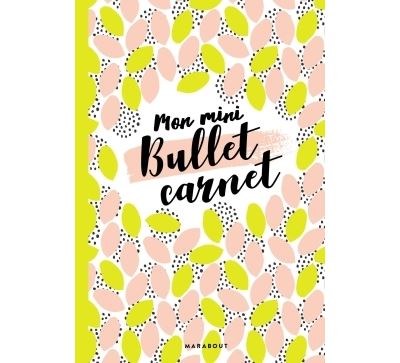 Mon mini-bullet carnet
