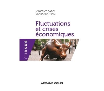 Fluctuations économiques et crises