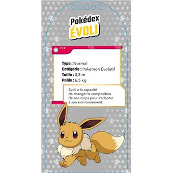 Pokémon - Mon carnet créatif Évoli