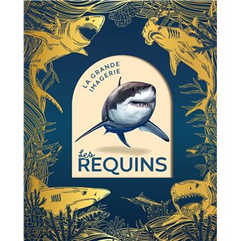 Les requins