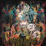 Jhyappa  - Vinilo Mostaza