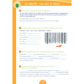 Réussir son dernier trimestre - CE2