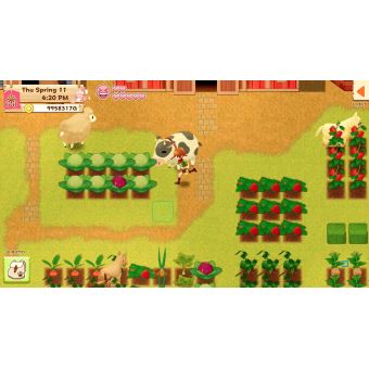 Harvest Moon Lumière d'Espoir Edition Spéciale Complète Nintendo Switch