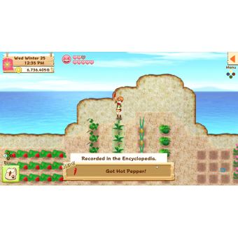 Harvest Moon Lumière d'Espoir Edition Spéciale Complète Nintendo Switch