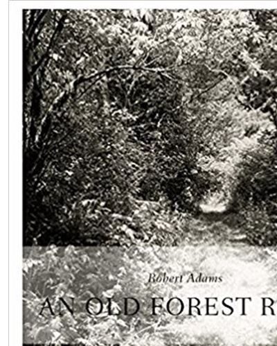 Robert Adams